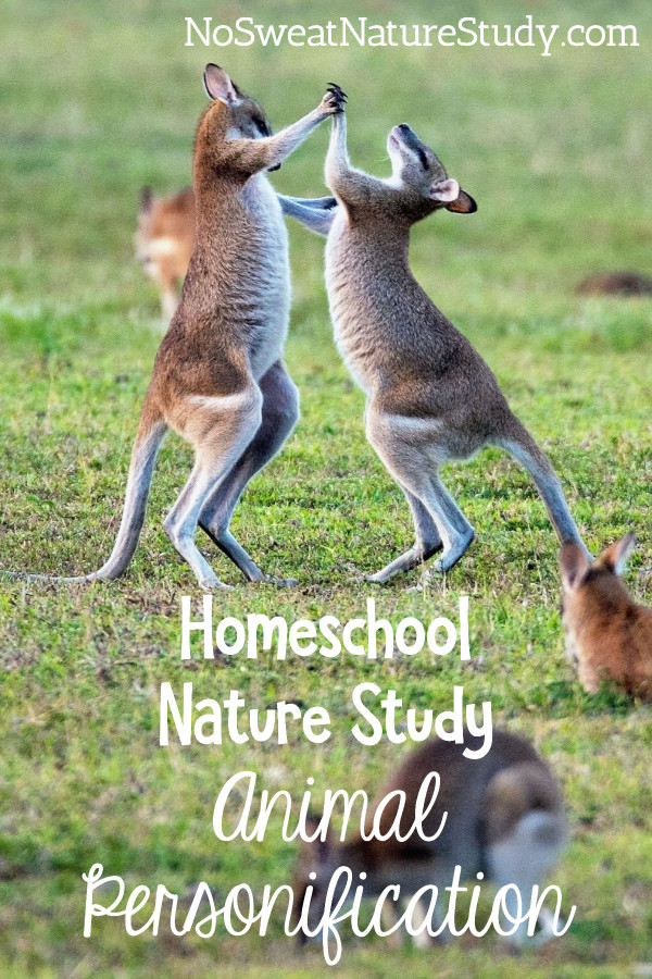 Two kangaroos holding hands and dancing together in green grass. Image is for a podcast about animal personification.