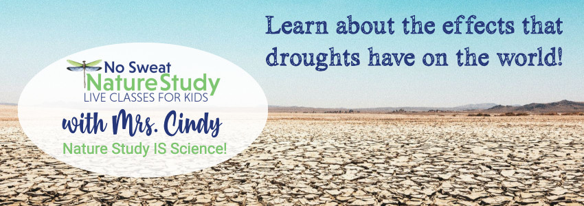 Dry, cracked ground that stretches into the distance with a mountain in the background and light blue sky above. This image is for an advertisement for a class about droughts.