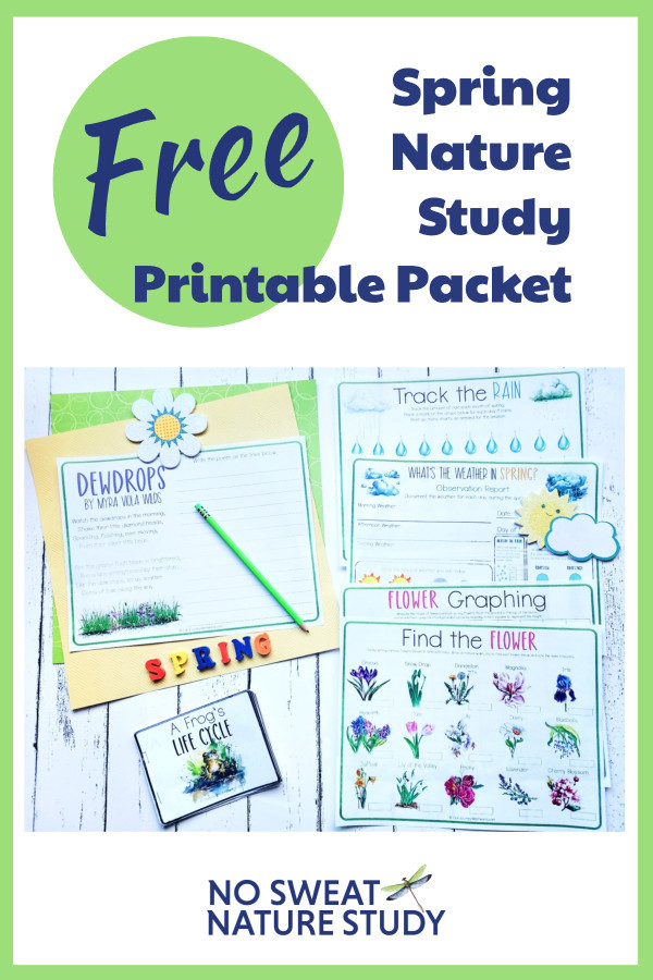 blog header image for spring printable activities for kids