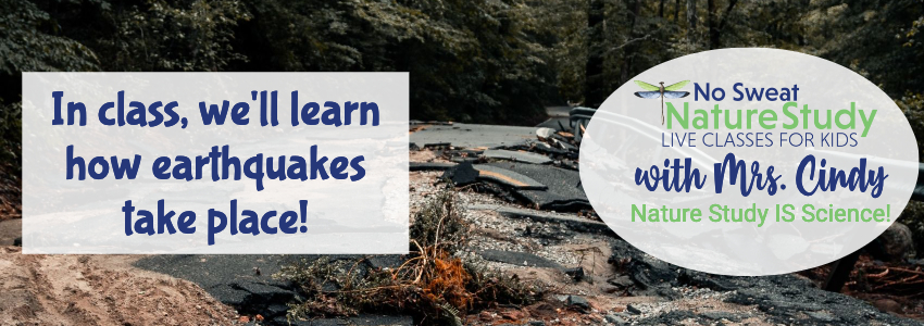 blacktop road broken up by an earthquake with text as an advertisement for a video class about earthquakes