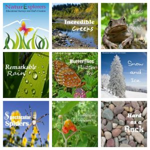 NaturExplorers - a great way to study science!