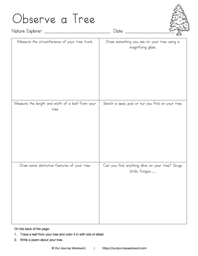 Nature notebooking sheet