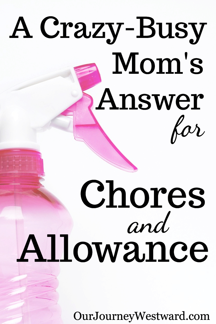 Pink spray bottle image for a blog post about chores and allowance.